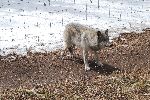 008_2009-0214-1317-26.jpg